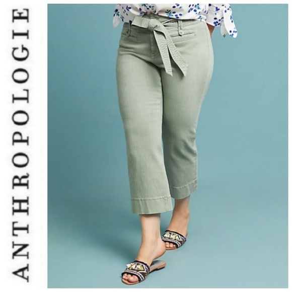Anthropologie Denim - 24W Anthropologie Pilcro Cropped Olive Denim Jeans